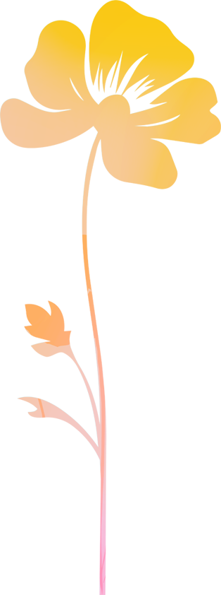 trai-lon